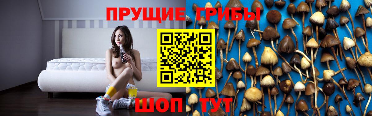 Белорецк  Галлюциногенные грибы Psilocybe  Вход с VPN 